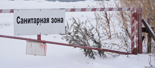 «Не могу зайти в курятник, душа болит...»: жители Тукаевского района остались без птицы