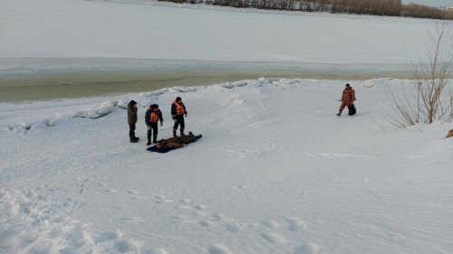 В Челнах на льду Камы нашли тело рыбака