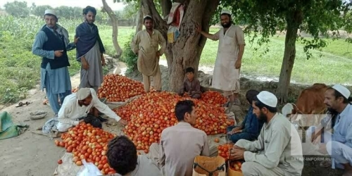 Татарские фермеры Афганистана готовы поставлять продукцию в Татарстан и регионы России