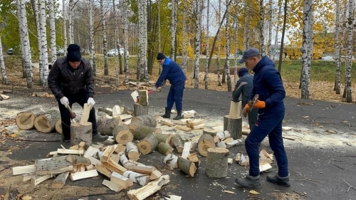 В Балтасинском районе по заявкам семей бойцов СВО заготовили дрова на зиму