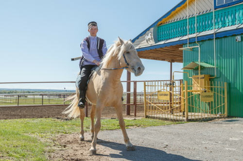 Татарстан впервые проведет конный пробег до Алтая на лошадях татарской породы