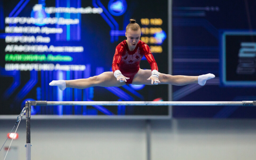 Мельникова, Нагорный, Шубенков и другие: кто еще из звезд будет на Играх БРИКС в Казани