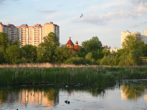 Работы на Большом Чайковом озере в Казани отложили до конца гнездования чаек