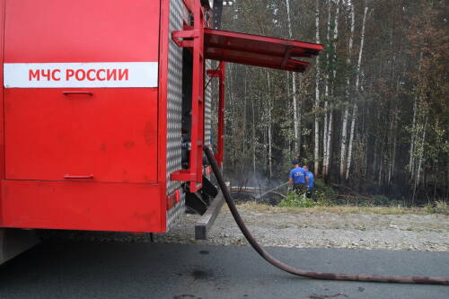 Гидрометцентр предупредил о высоком риске лесных пожаров в Татарстане