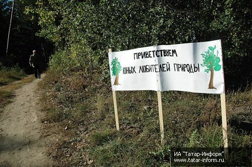 Посадка деревьев в поселке Дербышки