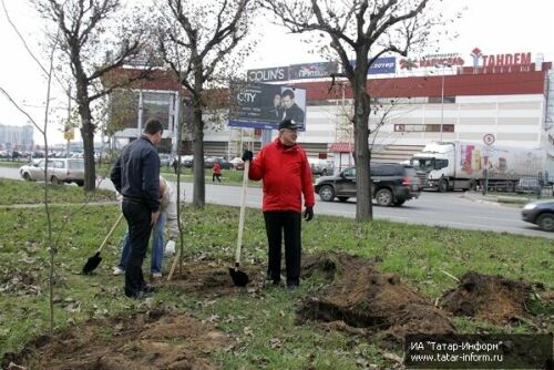 Представители СМИ приняли участие в проекте «Зеленый рекорд»