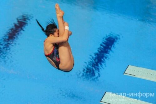 Этап мировой серии FINA по прыжкам в воду