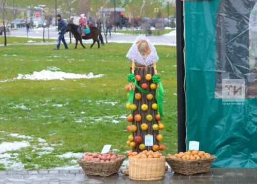  Праздник «Осенние забавы» в сквере перед Дворцом земледельцев в Казани