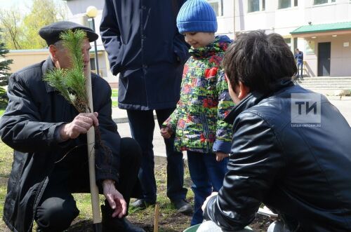 Посадка деревьев на факультете лесного хозяйства КГАУ, посвященная памяти первых лесоводов России