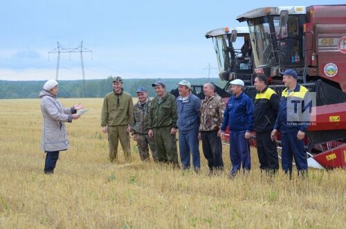 Уборочная страда: династия комбайнеров в Сабинском районе Татарстана