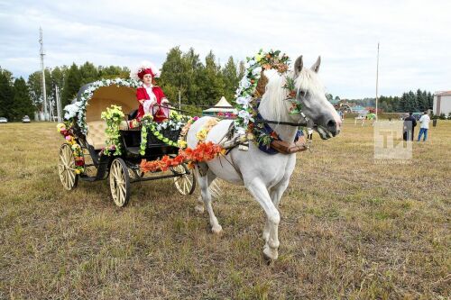 День Коня 2018. Арский район