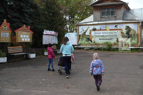 Старый и новый зоопарки