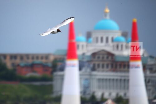 Red Bull Air Race