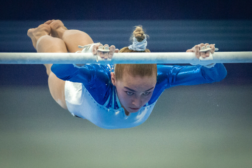 Финальные соревнования чемпионата и первенства России по спортивной гимнастике в дисциплинах трамплин и брусья