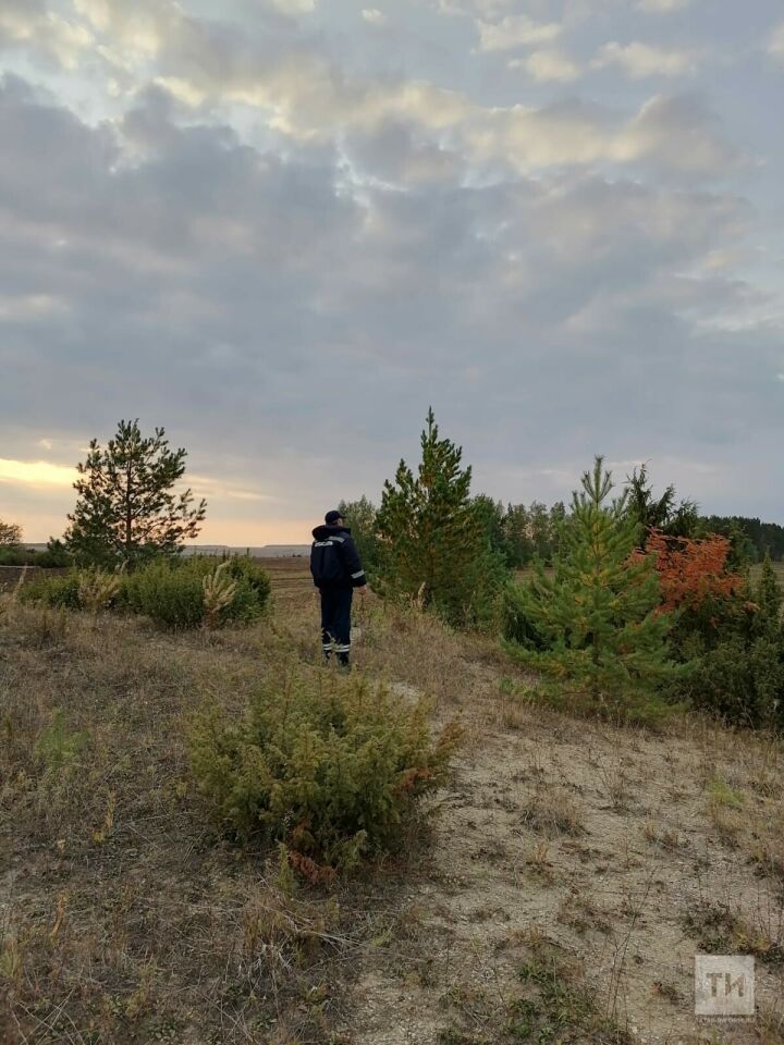 Татарстанские спасатели пришли на помощь грибнику, которому стало плохо с сердцем в лесу