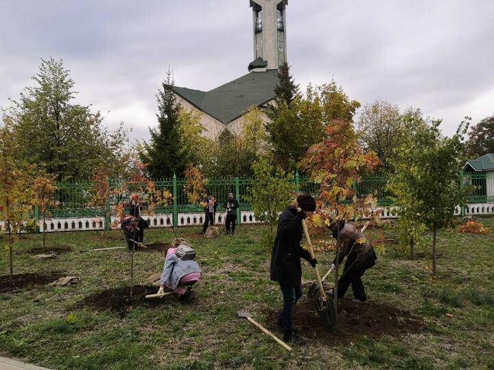 В Набережных Челнах за день высадили 400 деревьев