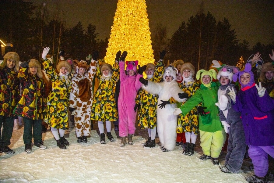 В Нижнекамске выбрали лучшие новогодние дворы и елочные городки