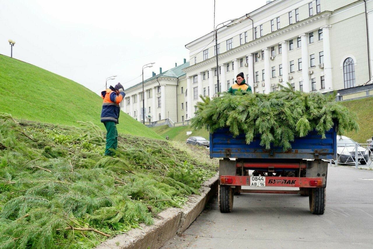 Городские цветники в Казани начали готовить к зиме