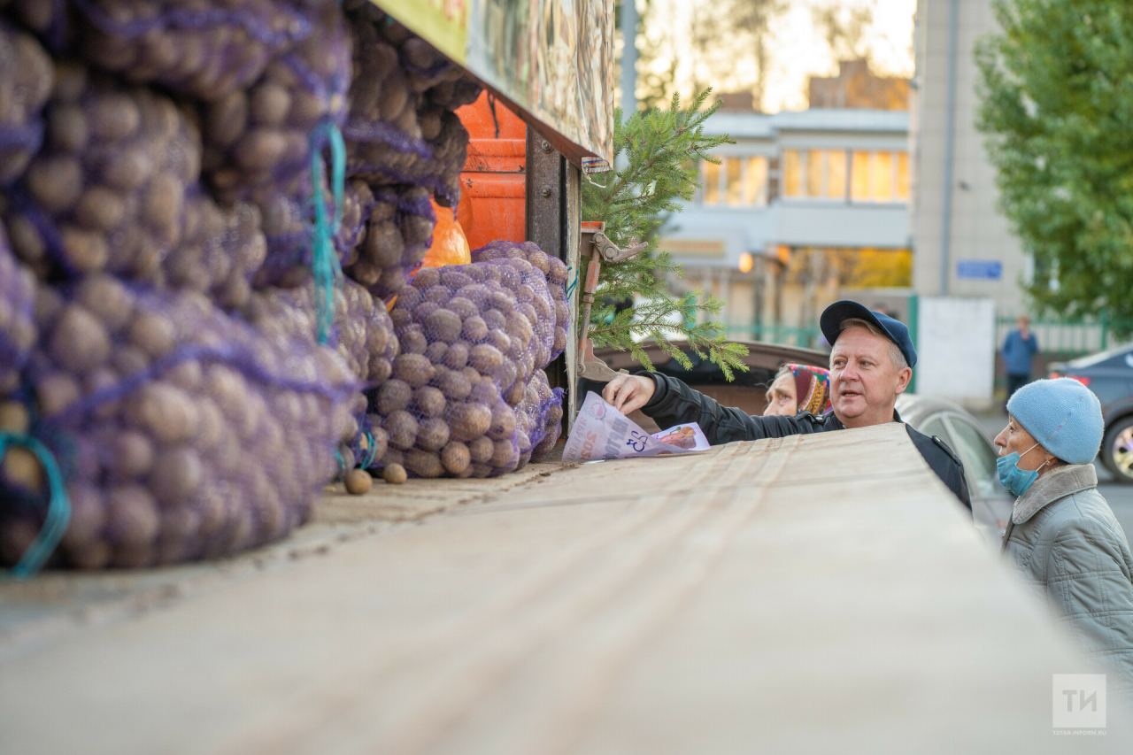 Продукцию по доступным ценам представят фермеры Татарстана на сельхозярмарках Казани