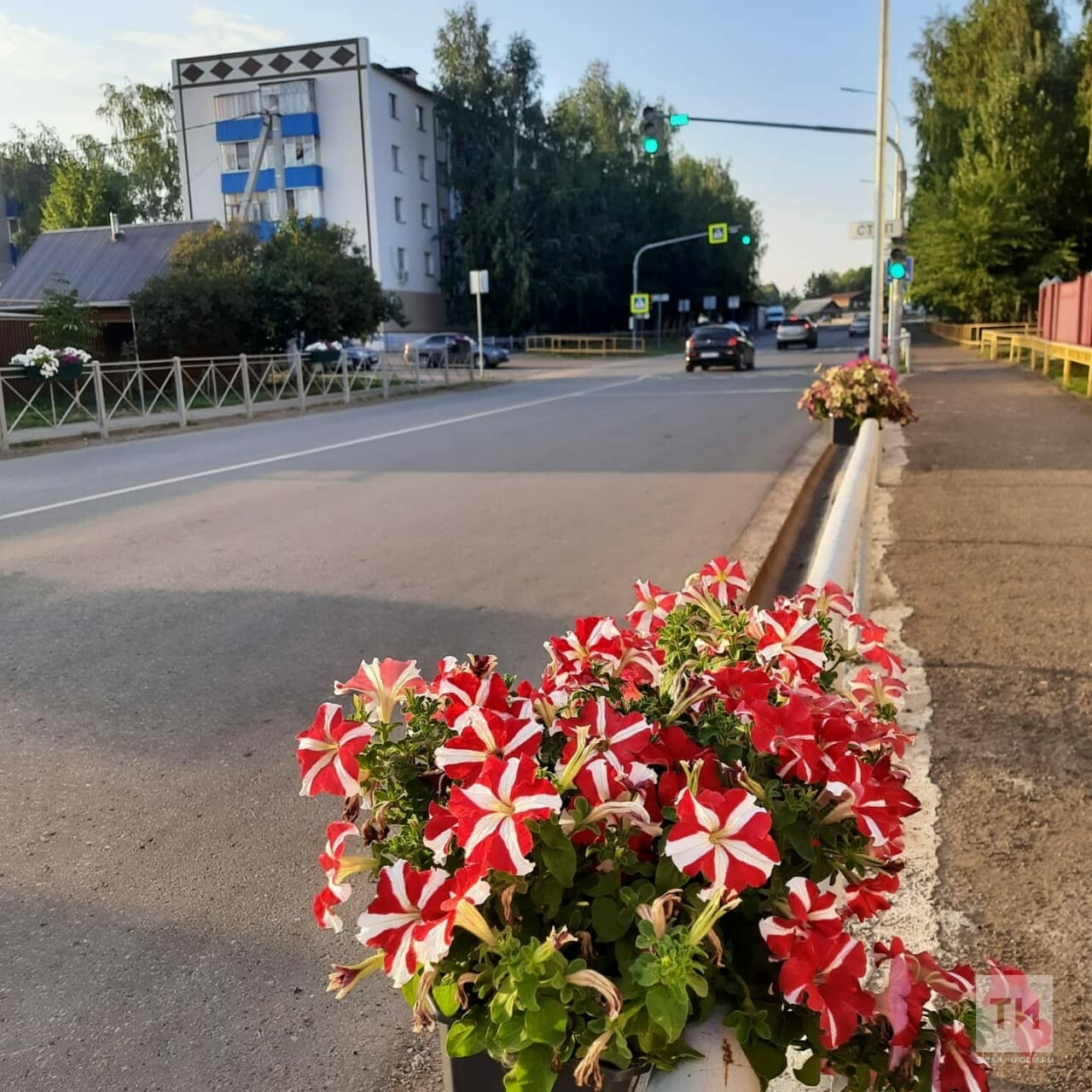 В этом году в цветочном оформлении Елабуги используют новые решения