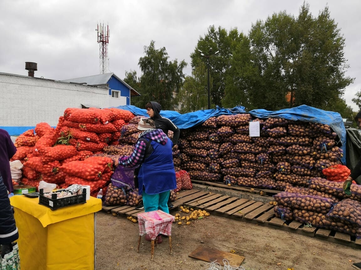 На первой осенней ярмарке в Новой Туре реализовали продукции на 2,5 млн рублей