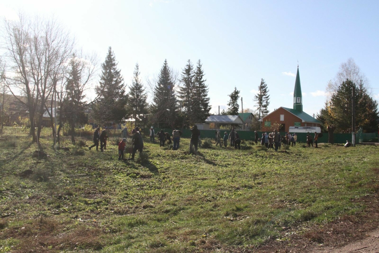 В Бугульминском районе появилась аллея памяти участника СВО