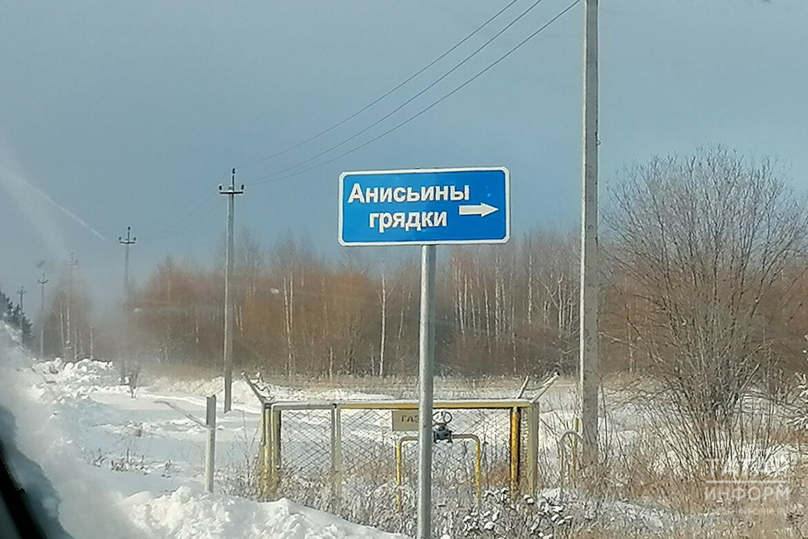 «Это обращение не к Богу, а к бесам»: почему срезали ленты с деревьев у Анисьиных грядок