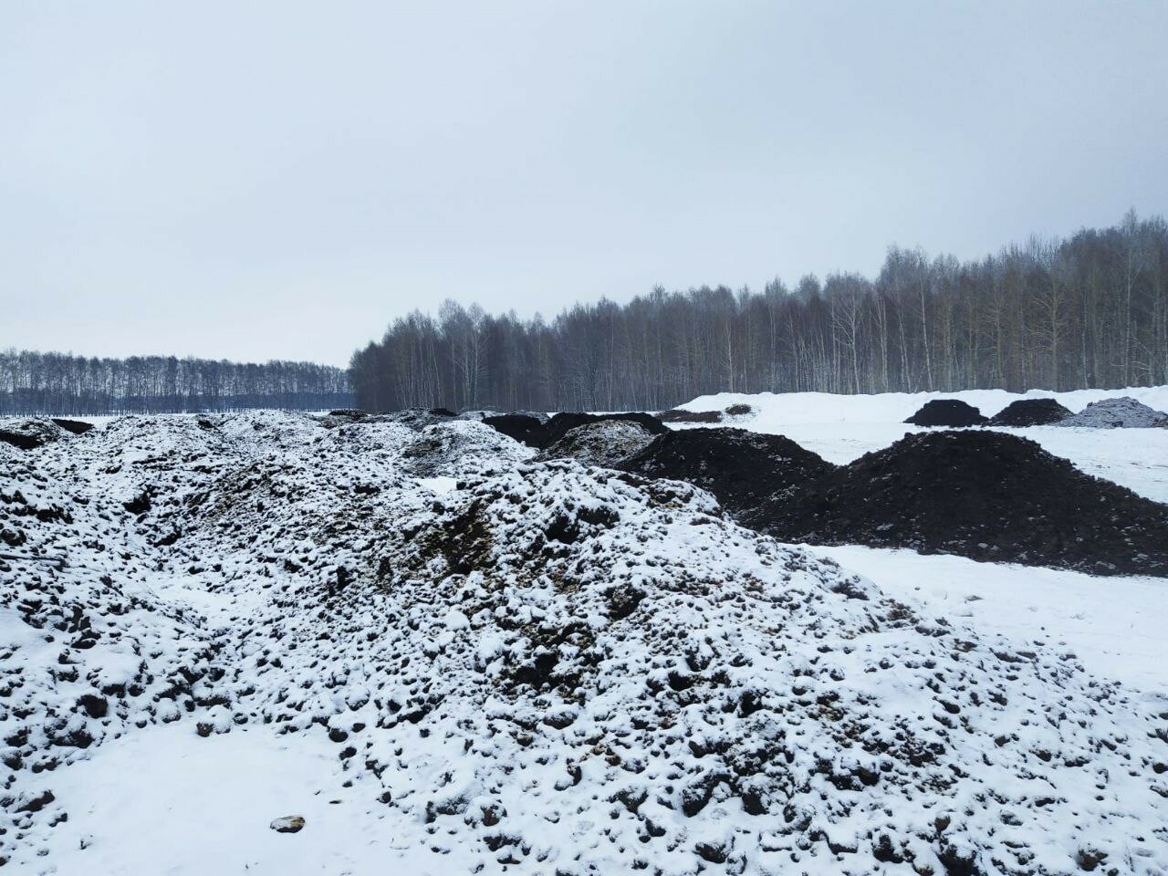 «Это ценное удобрение»: Россельхознадзор ответил на жалобы жителей Маевки на сброс навоза