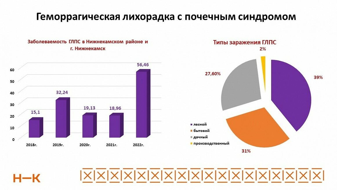 В Нижнекамском районе втрое выросло количество случаев мышиной лихорадки