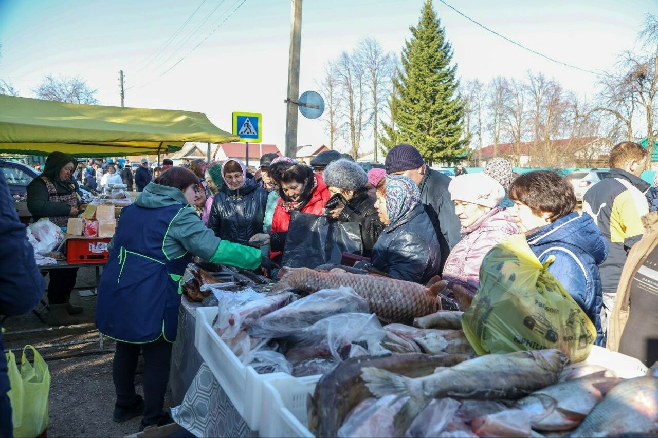 Власти Мамадыша распространят на весь район успешно проведенную тестовую ярмарку на селе