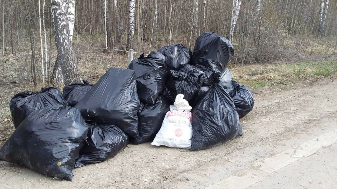 С начала экологического двухмесячника в лесах Татарстана ликвидировали 38 свалок