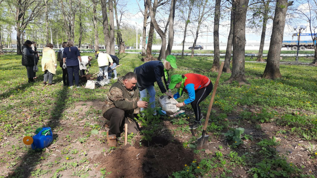 В поселке Красный Ключ Нижнекамского района активисты возродили пихтовую аллею