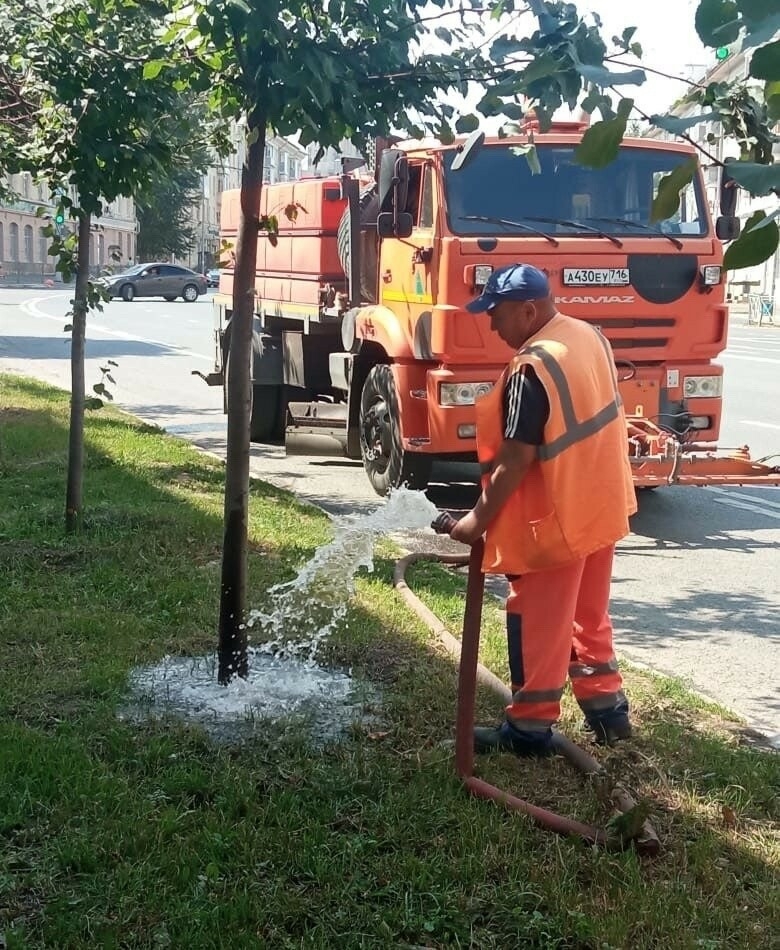 Казанцы жалуются на гибель деревьев из-за жары – власти города назвали ответственного