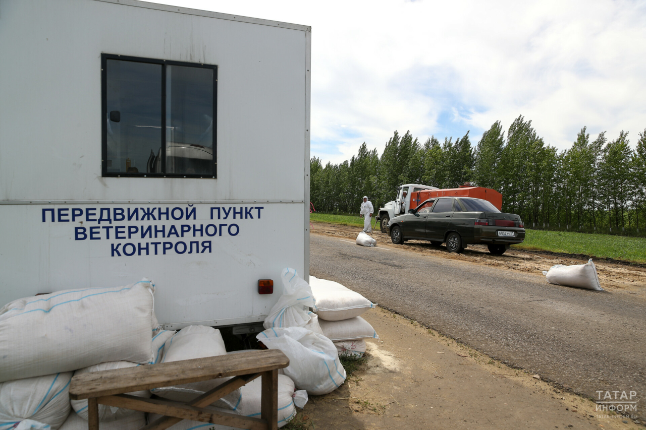 В Лениногорском районе введен карантин из-за очага птичьего гриппа