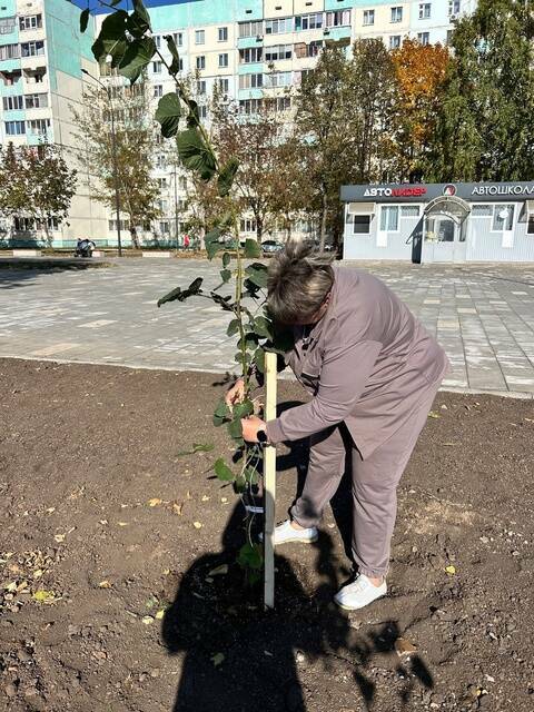 В Нижнекамске высадили свыше 6 тыс. декоративных растений