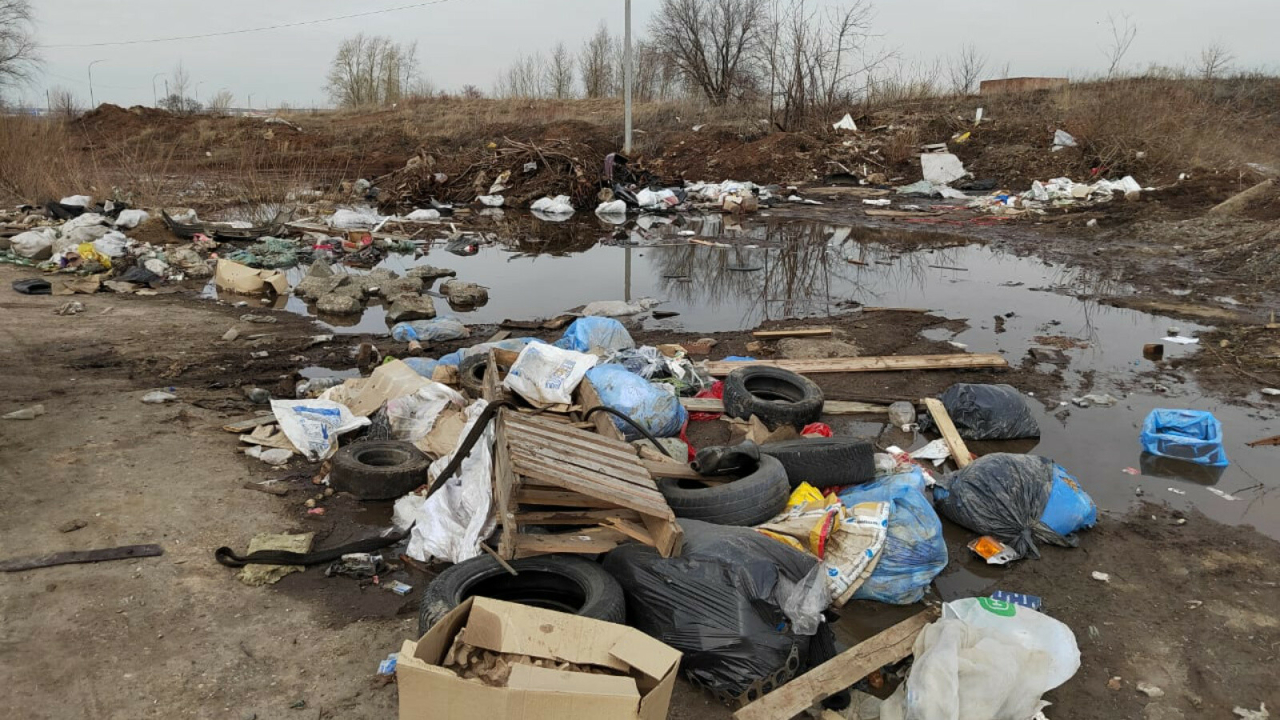 В Челнах благодаря экологам ликвидировали незаконную свалку