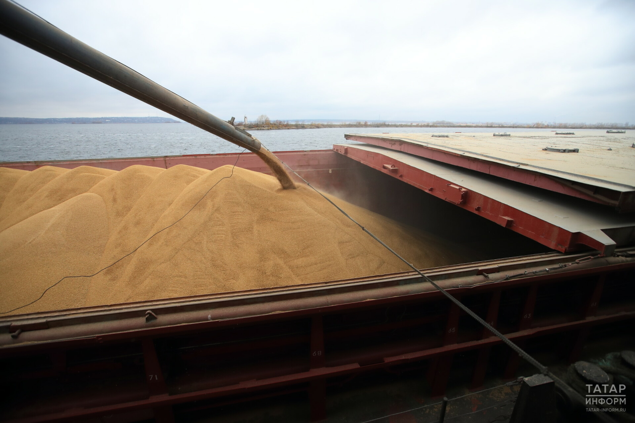 Из Татарстана водным транспортом на экспорт отправлено 17 тыс. тонн зерна