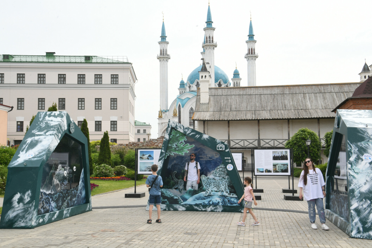 Увидеть мир глазами ирбиса через VR: в Казани открыли выставку о снежном барсе