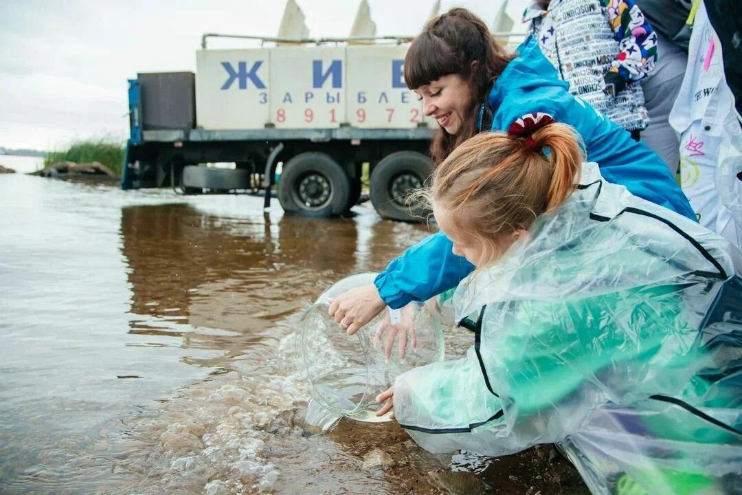 НКНХ запустил 200 тысяч мальков стерляди в Каму и провел экоурок с популярным блогером