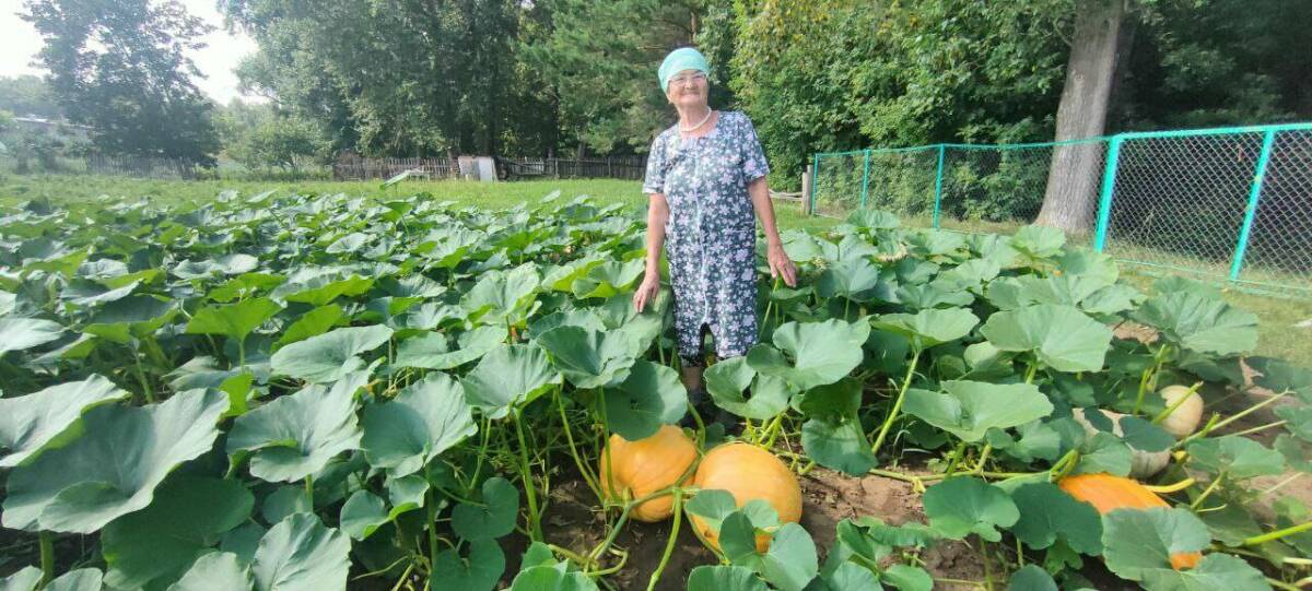 78-летняя жительница Кукмора вырастила тыкву весом 32 кг