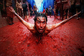 La Tomatina-2010