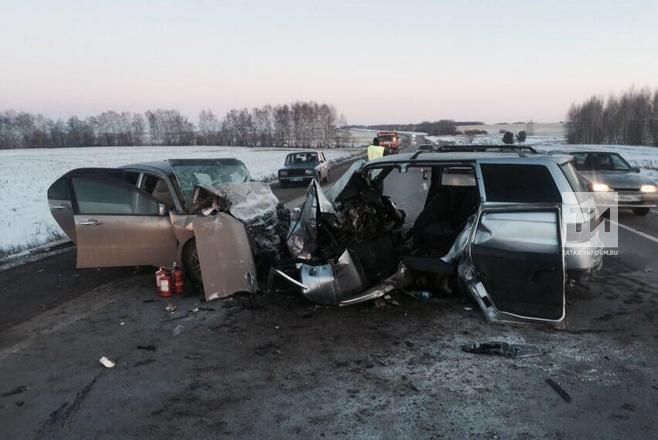 В Чистопольском районе два человека погибли в лобовом столкновениии двух авто